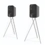 Полочная акустика Q Acoustics Concept 300 (QA2730) Gloss Black & Rosewood